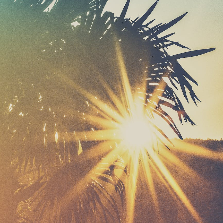 Jesus’ Triumphal Entry